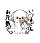 動くシーズー犬2025『五月から梅雨』10（個別スタンプ：24）