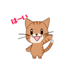 【挨拶】ふわもちネコさん② 茶トラさん（個別スタンプ：2）