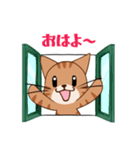【挨拶】ふわもちネコさん② 茶トラさん（個別スタンプ：9）