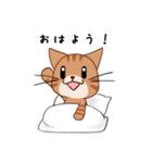 【挨拶】ふわもちネコさん② 茶トラさん（個別スタンプ：10）