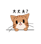 【挨拶】ふわもちネコさん② 茶トラさん（個別スタンプ：20）