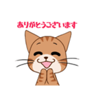 【挨拶】ふわもちネコさん② 茶トラさん（個別スタンプ：23）