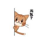 【挨拶】ふわもちネコさん② 茶トラさん（個別スタンプ：30）