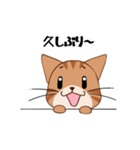 【挨拶】ふわもちネコさん② 茶トラさん（個別スタンプ：32）