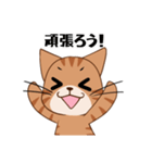 【挨拶】ふわもちネコさん② 茶トラさん（個別スタンプ：37）