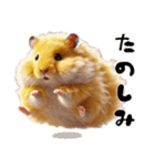 デカ文字ハムスター(日常)（個別スタンプ：28）