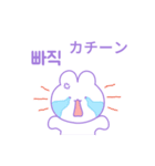 ボラウサギ (日本語/韓国語)（個別スタンプ：17）