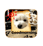 けぽてぃの日常 （犬）（個別スタンプ：6）
