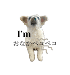 けぽてぃの日常 （犬）（個別スタンプ：10）