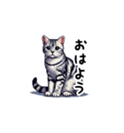 日常で使えるドット絵ネコ（個別スタンプ：1）