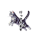 日常で使えるドット絵ネコ（個別スタンプ：4）