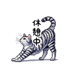 日常で使えるドット絵ネコ（個別スタンプ：5）