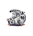 日常で使えるドット絵ネコ（個別スタンプ：6）