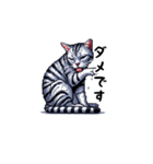 日常で使えるドット絵ネコ（個別スタンプ：7）