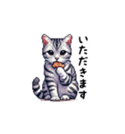 日常で使えるドット絵ネコ（個別スタンプ：8）