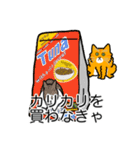 猫あるある（茶トラ猫／長毛）（個別スタンプ：1）