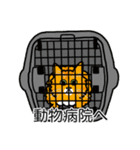 猫あるある（茶トラ猫／長毛）（個別スタンプ：8）