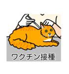 猫あるある（茶トラ猫／長毛）（個別スタンプ：9）
