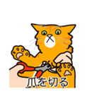 猫あるある（茶トラ猫／長毛）（個別スタンプ：11）