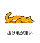 猫あるある（茶トラ猫／長毛）（個別スタンプ：13）
