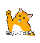猫あるある（茶トラ猫／長毛）（個別スタンプ：17）