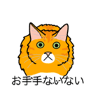 猫あるある（茶トラ猫／長毛）（個別スタンプ：19）