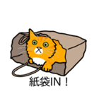 猫あるある（茶トラ猫／長毛）（個別スタンプ：20）