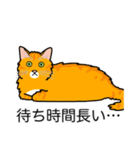 猫あるある（茶トラ猫／長毛）（個別スタンプ：22）