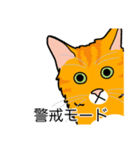 猫あるある（茶トラ猫／長毛）（個別スタンプ：23）