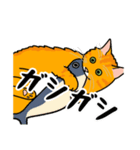 猫あるある（茶トラ猫／長毛）（個別スタンプ：24）