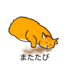 猫あるある（茶トラ猫／長毛）（個別スタンプ：25）