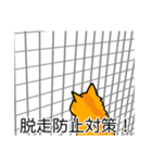 猫あるある（茶トラ猫／長毛）（個別スタンプ：27）