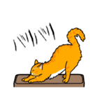 猫あるある（茶トラ猫／長毛）（個別スタンプ：28）