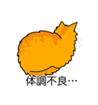 猫あるある（茶トラ猫／長毛）（個別スタンプ：31）