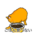 猫あるある（茶トラ猫／長毛）（個別スタンプ：32）