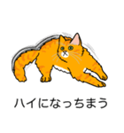 猫あるある（茶トラ猫／長毛）（個別スタンプ：38）