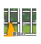猫あるある（茶トラ猫／長毛）（個別スタンプ：40）