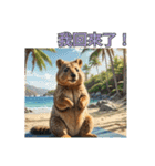 愛らしいクオッカ3（個別スタンプ：10）