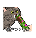 猫あるある（キジ猫／長毛）（個別スタンプ：4）