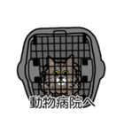 猫あるある（キジ猫／長毛）（個別スタンプ：8）