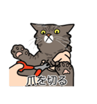 猫あるある（キジ猫／長毛）（個別スタンプ：11）