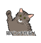 猫あるある（キジ猫／長毛）（個別スタンプ：17）