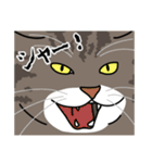 猫あるある（キジ猫／長毛）（個別スタンプ：18）
