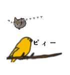 猫あるある（キジ猫／長毛）（個別スタンプ：29）