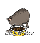 猫あるある（キジ猫／長毛）（個別スタンプ：32）