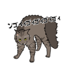 猫あるある（キジ猫／長毛）（個別スタンプ：37）