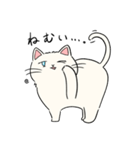 いろんな猫さん #4白雪さん（個別スタンプ：1）