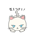 いろんな猫さん #4白雪さん（個別スタンプ：10）