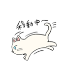 いろんな猫さん #4白雪さん（個別スタンプ：16）