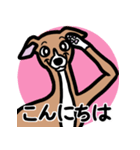 【レッド2】1年中使えるイタグレのスタンプ（個別スタンプ：2）